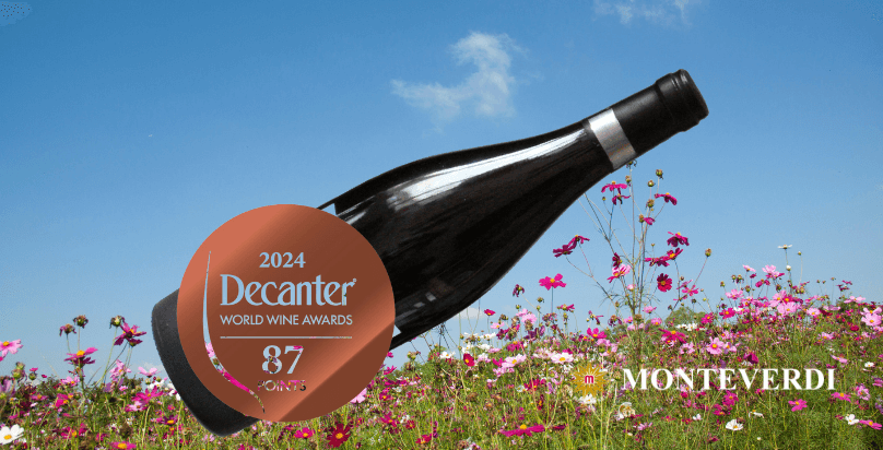 decanter wine awards 2024 monteverdi