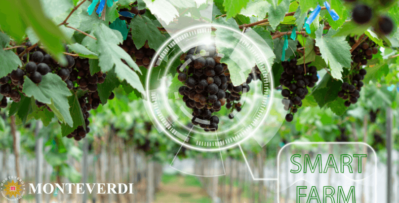 lotta integrata e viticoltura sostenibile